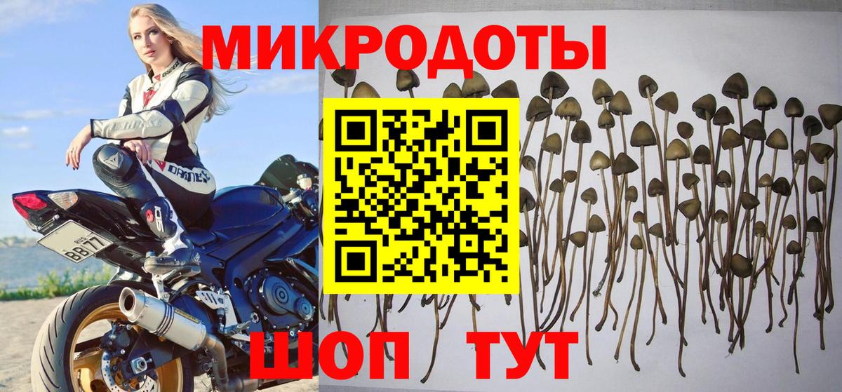АМФЕТАМИН Карпинск