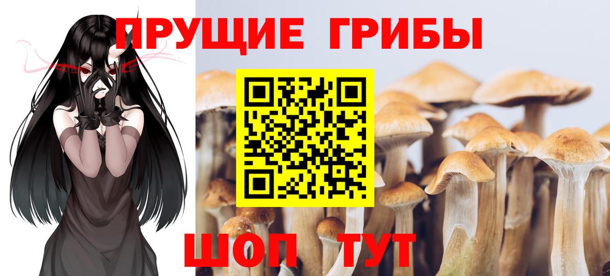 Галлюциногенные грибы мухоморы  Псилоцибиновые грибы мухоморы  сколько стоит  Вход с VPN  Карпинск 
